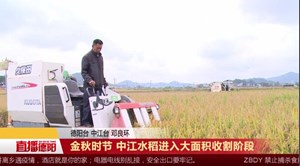 金秋时节 中江水稻进入大面积收割阶段