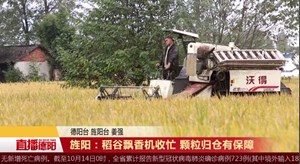 旌阳：稻谷飘香机收忙 颗粒归仓有保障