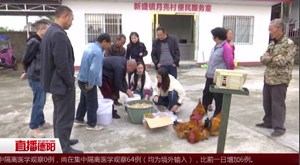 罗江：“以购代扶” 激发群众脱贫致富内在活力