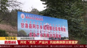 开对“药方”产业兴 托起彝族群众致富梦