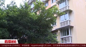 鼎虹嘉苑：临街住户“室内无光” 期盼园林部门修枝