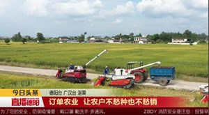 订单农业 让农户不愁种也不愁销