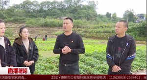罗江：社区治理 干部冲在前