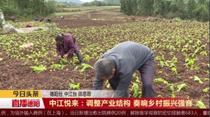 中江悦来：调整产业结构 奏响乡村振兴强音