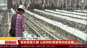 智能蔬菜大棚 让秋种秋管更有科技含量