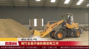 绵竹全面开展秋粮收购工作