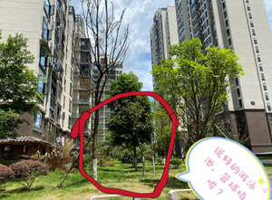 买房入住几年了，却连房产证的影子都看不见！