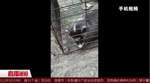 广汉：深水井传来奇怪声音 警民联合救出野生动物