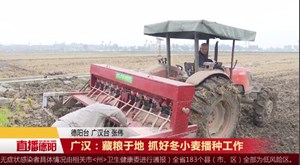 广汉：藏粮于地 抓好冬小麦播种工作