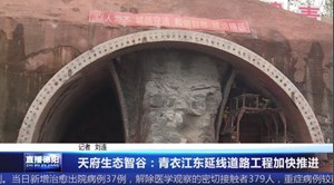天府生态智谷：青衣江东延线道路工程加快推进