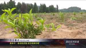 德阳新闻联播2020年11月21日