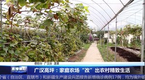 广汉高坪：家庭农场“改”出农村精致生活