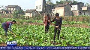 中江南华：发展集体经济 打赢脱贫攻坚收官战