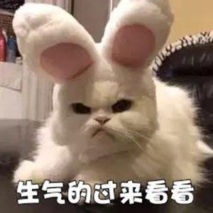 警惕！德阳市多家餐饮卫生超标 不合格！