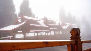 冷哭了！只有4℃！德阳这里已下雪！但有个好消息……