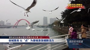 德阳成功创建全国文明城市启示录（2）  创城靠民 以“点”为基础激发细胞活力