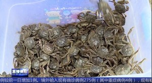 什邡南泉：首批泉水大闸蟹上市啦