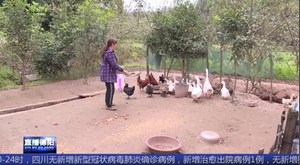 旌阳：让金融扶贫之光 照亮脱贫攻坚之路
