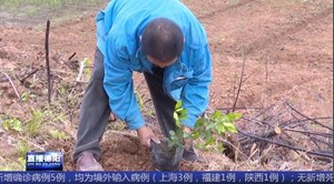 聂承平：奋进在路上 拔穷根摘穷帽