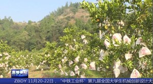 中江兴隆：荒山变新装 村民乐开颜