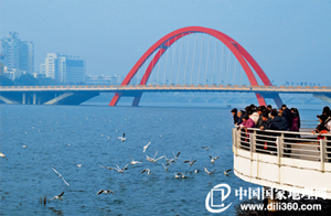 观海鸥、看德阳...德阳市民通进入“慢直播”模式！