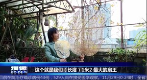 传承非遗 手工打造1.2米的德阳“扇王” 