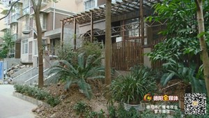 德阳这个小区住户花园变成“化粪池” ！到物业反映多次却……