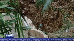 排水管破裂 后花园变成“化粪池”