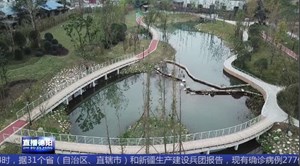 昔日黑臭水体 今变休闲公园