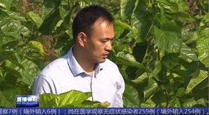 第一书记王光文：做一个产业发展的破局者