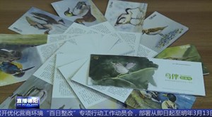 手绘旌湖鸟儿“写真集” 志愿者呼吁爱鸟护鸟