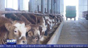 广汉：积极应对低温天气 确保畜牧水产养殖安全