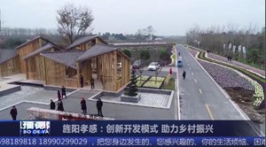 旌阳孝感：创新开发模式 助力乡村振兴