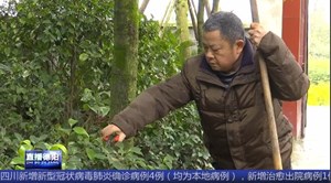 肖文章：用拐杖走出一条“花木致富路”