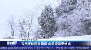 我市多地迎来降雪 山间银装更妖娆