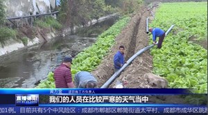 旌阳孝泉：政府主动作为 帮助企业破解难题