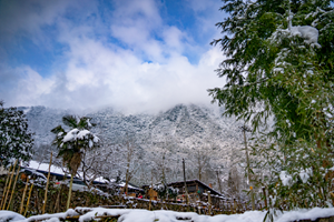 德阳各地雪景美照大曝光！隔壁城市都羡慕哭了！一大波视频照片……