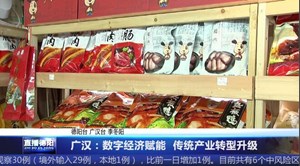 广汉：数字经济赋能  传统产业转型升级