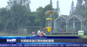 广汉：太阳能杀虫灯助力绿色农业发展