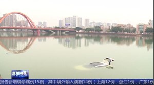 女司机驾车冲入旌湖 热心市民跳湖营救
