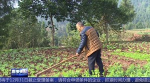 叶贤发：一颗感恩心 筑起致富路