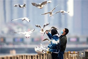 厉害了！咱们德阳因为这群＂鸟＂都火到国外去了！！
