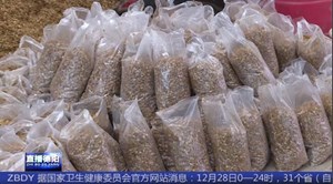 中江：小小羊肚菌种出“好钱景”