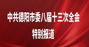 中共德阳市委八届十三次全会特别报道
