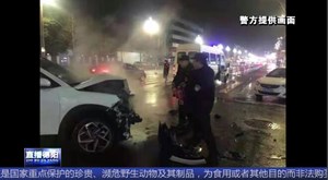 罗江：事故车辆着火 巡警快反队员迅速处理