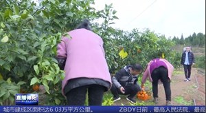 广汉：产业扶贫 托起“稳稳的幸福”