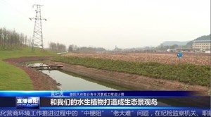 德阳天府数谷：寿丰河景观工程亮点纷呈