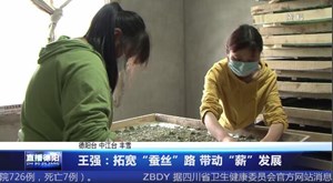 王强：拓宽“蚕丝”路 带动“薪”发展