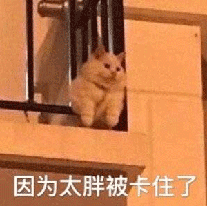 德阳某楼盘买房送车位，可进车却无法下人！官方回应来了......