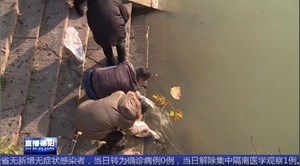 12万尾放流！旌阳区首例非法捕鱼者自购鱼苗修复生态环境